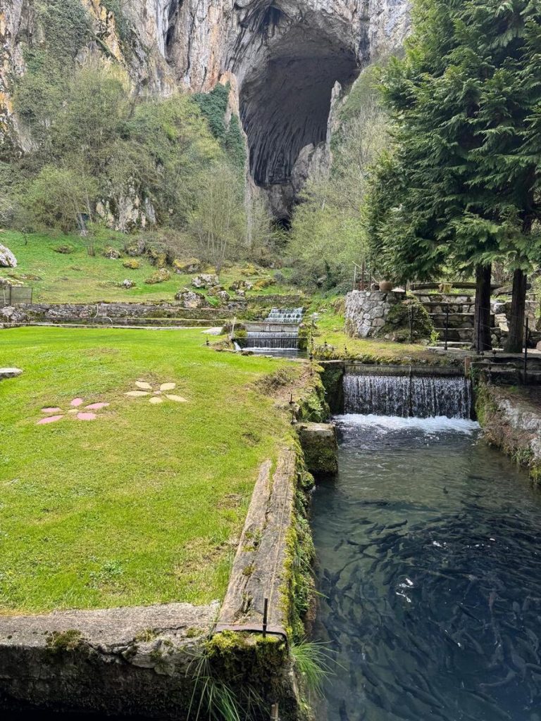 Ulaz u Potpećku pećinu, Potpećka pećina monumentalni ulaz, Potpećki potok ispred pećine, Ribnjak ispod Potpećke pećine, Prirodni pejzaž kod Potpećke pećine, Stena Potpećke pećine, Pešačka staza do Potpećke pećine, Pogled iz unutrašnjosti Potpećke pećine, Potpećka pećina prirodna atrakcija Srbije, Skriveni dragulj Potpećka pećina